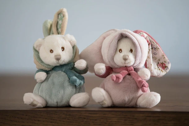 ziggy-benji-bibi.webp