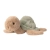 bukowski-bears-sandy-1_1220x1220_crop_center.webp