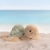 bukowski-bears-sandy-2_1220x1220_crop_center.webp