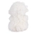 baby-molly-back.webp