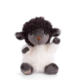 black-sheep-front.webp