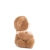 LovelyLittleBukowskiSide_1220x1220_crop_center.webp