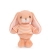 BouncyBunnyOrange.webp