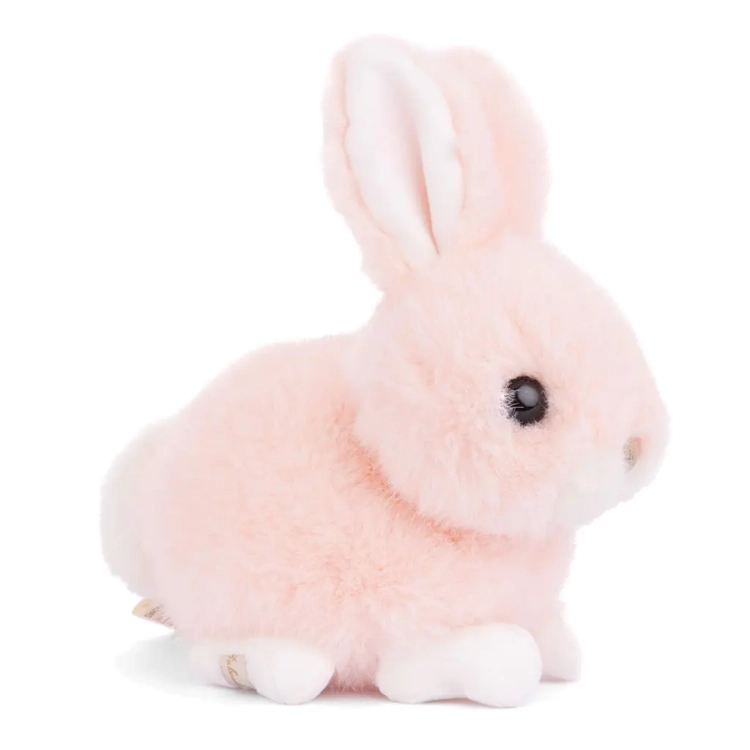 Baby-Bunny-Sloane.webp