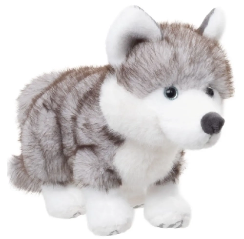 Sweet-Husky-piesek-galeria-bukowski.webp