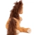 Tristan-back.webp
