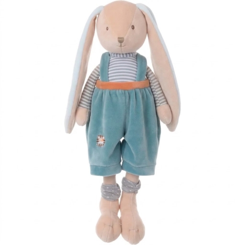 Bunny-brother-light-blue.jpg